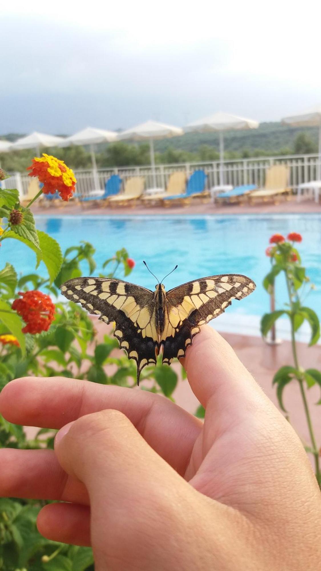 Calamon Apartments Episkopi-Chania Exterior foto